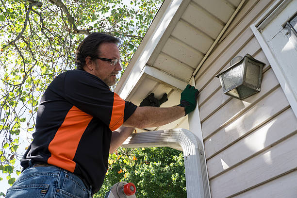 Best Custom Siding Design  in Frazeysburg, OH